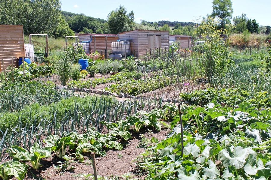 jardins familiaux Brives-Charensac